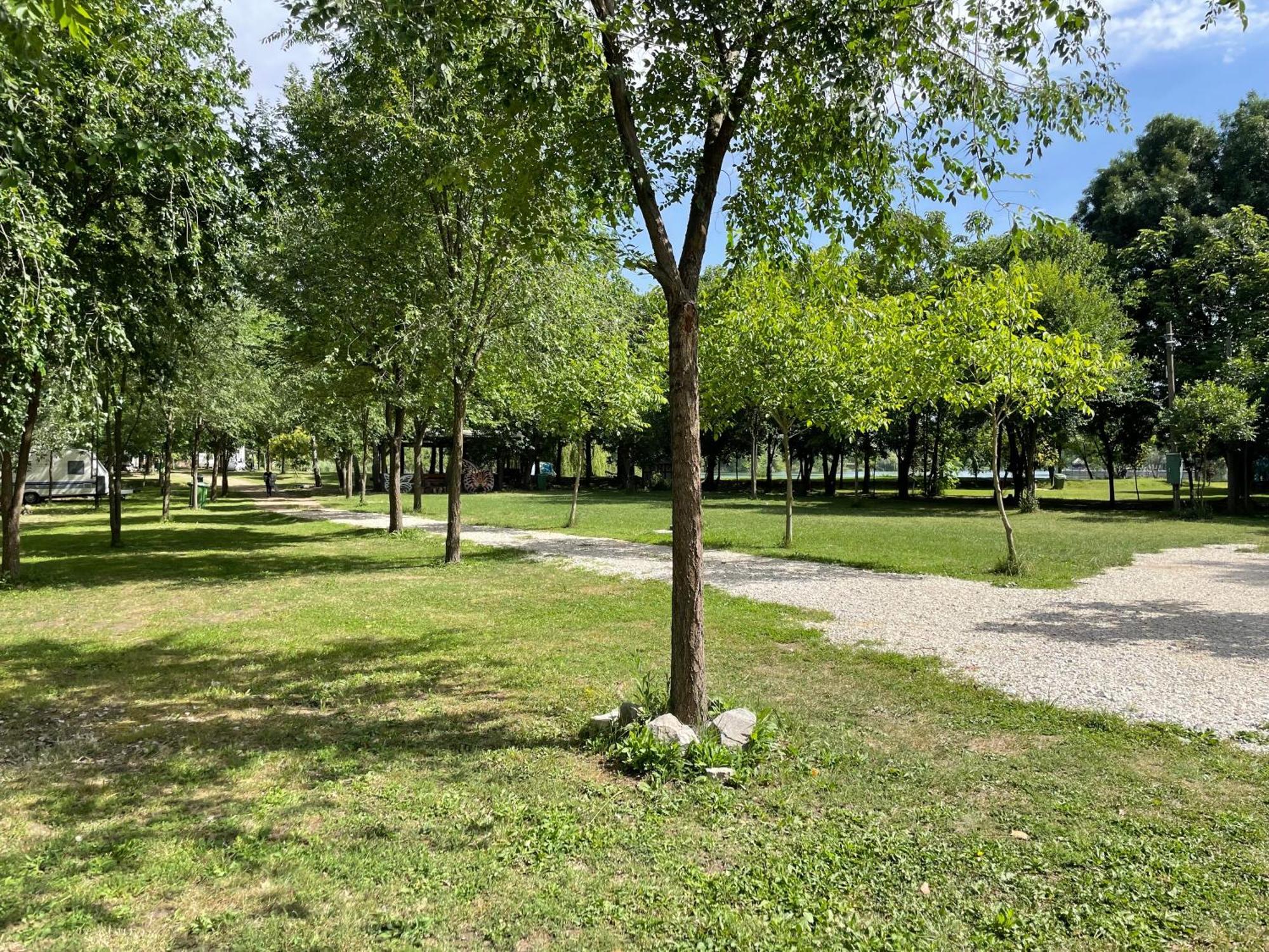 Camping Oaza Bela Crkva  Exterior photo